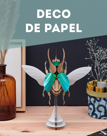 DECO DE PAPEL INSECTOS 3D CARTON CARTOLNA Y PAPEL ASSEMBLI ROOF